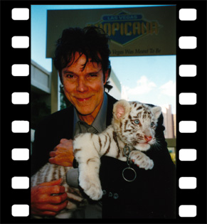 In Las Vegas New Year 2002 with special white tiger cub given by supermodel Heidi Klum 
